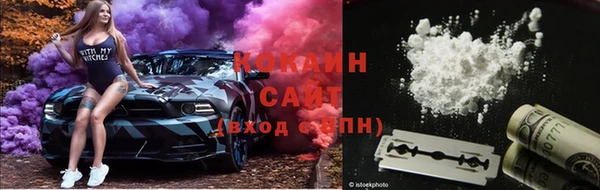 крисы Балахна