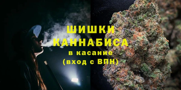 крисы Балахна