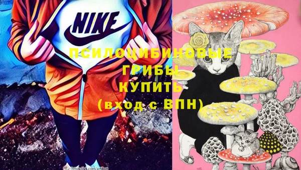 мяу мяу мука Баксан