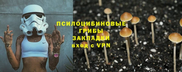 мяу мяу мука Баксан