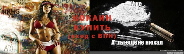 мяу мяу мука Баксан