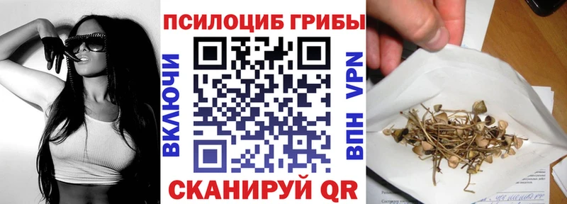 Галлюциногенные грибы Psilocybe  Зеленоградск 